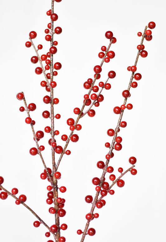 Faux Outdoor Red Berry Stem - 36"