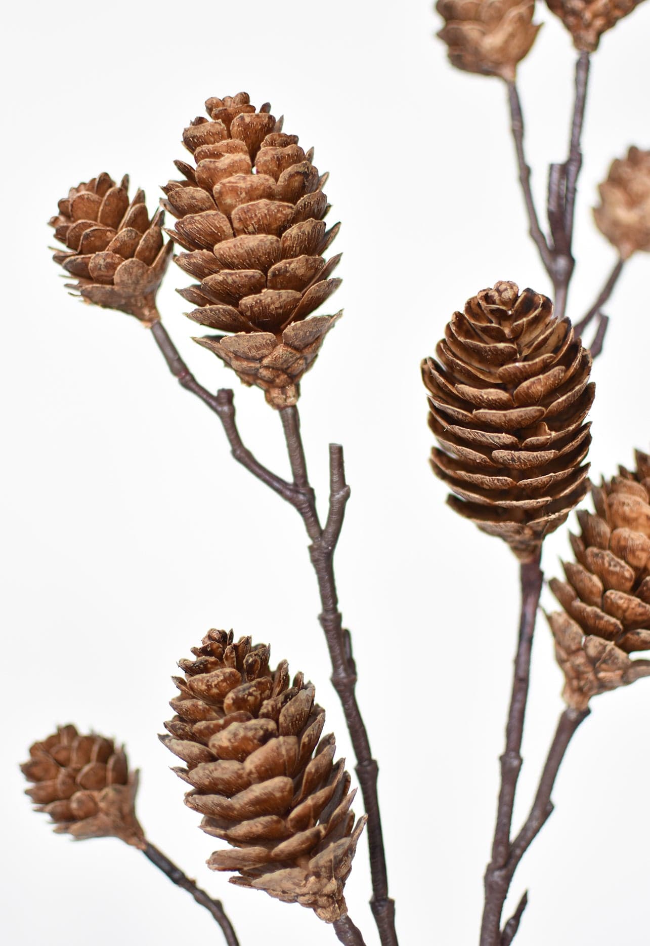 Faux Pinecone Branch Stem - 28"