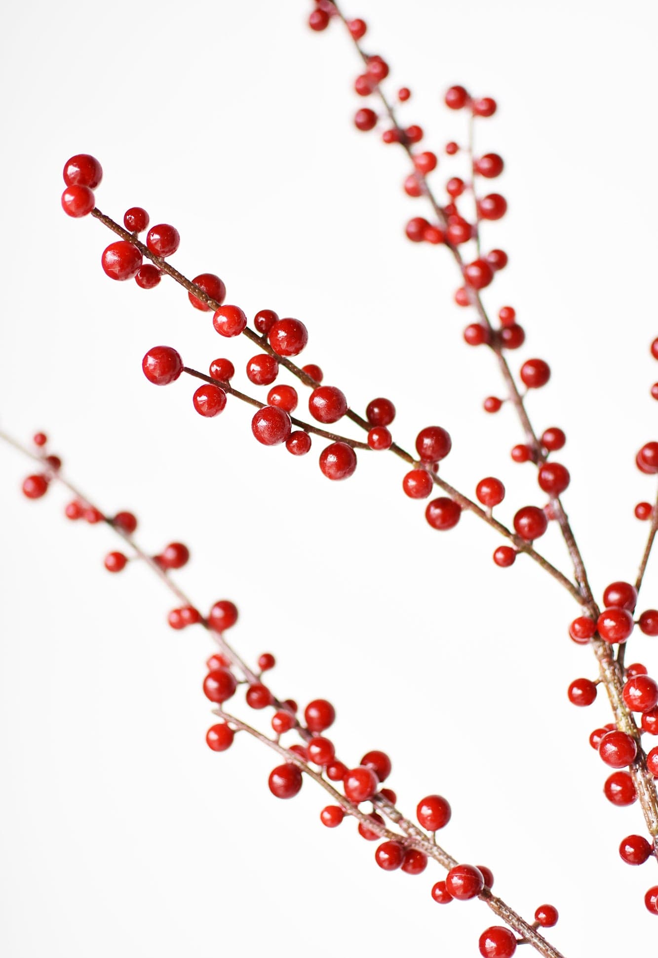 Faux Outdoor Red Berry Stem - 36"