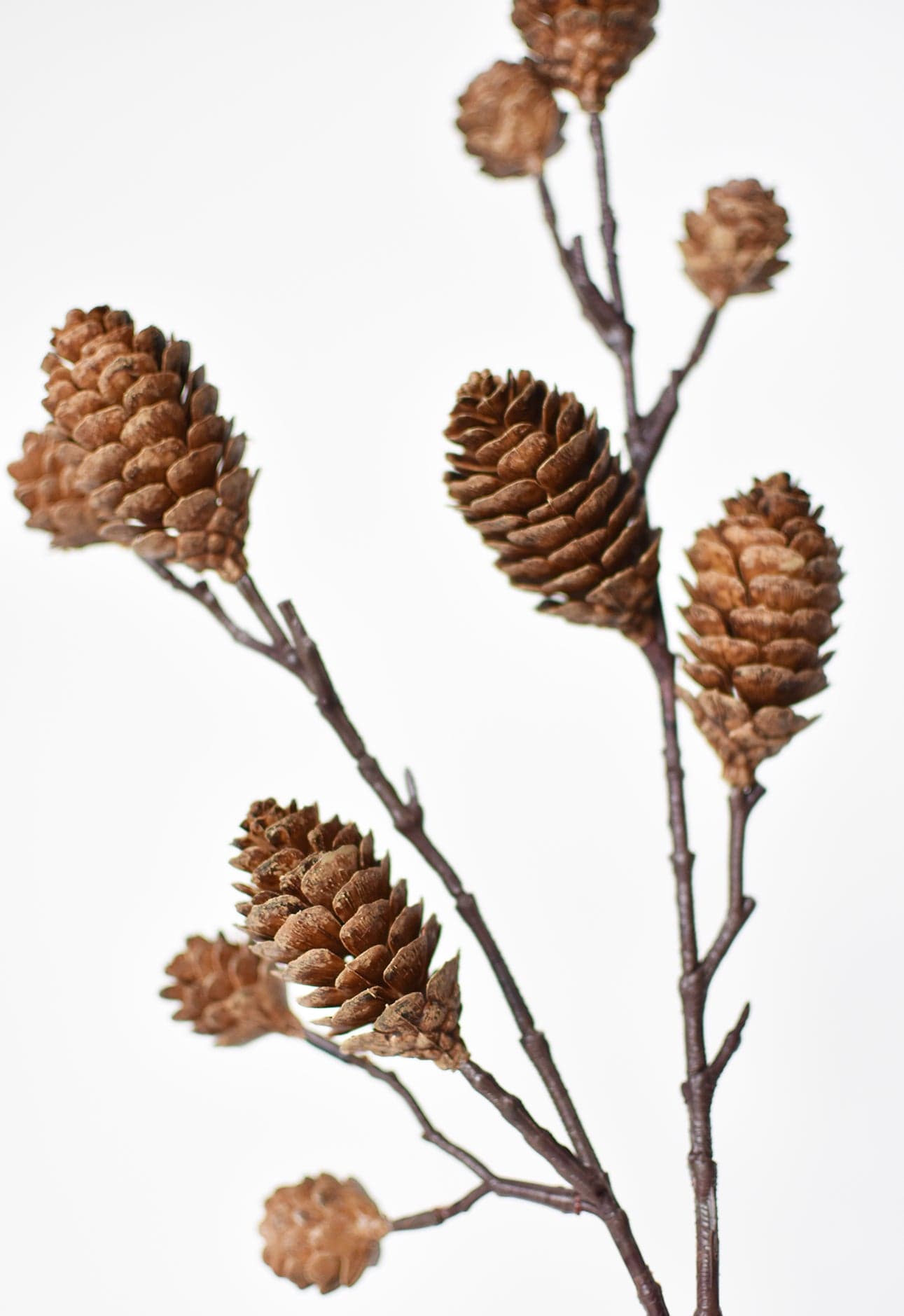 Faux Pinecone Branch Stem - 28"