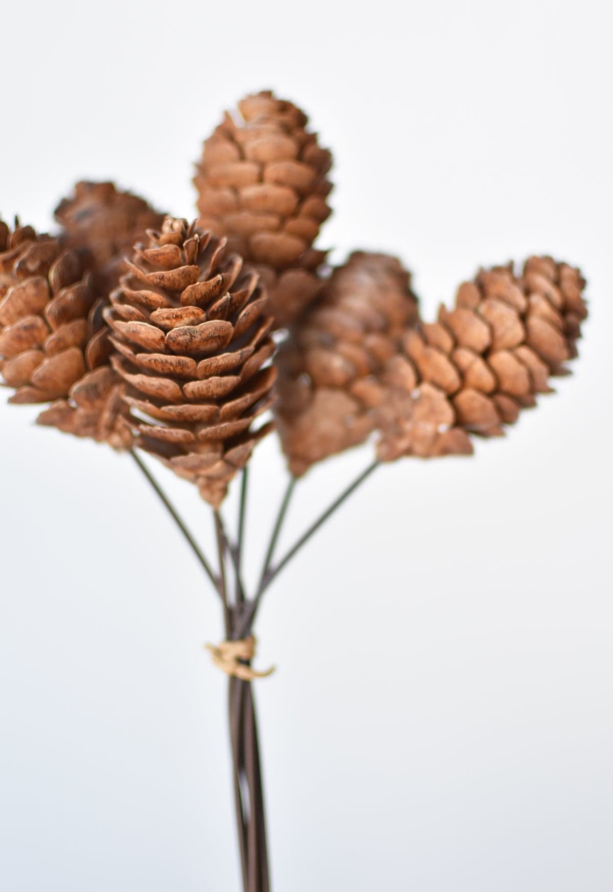 Faux Pinecone Stem Bundle - 10"