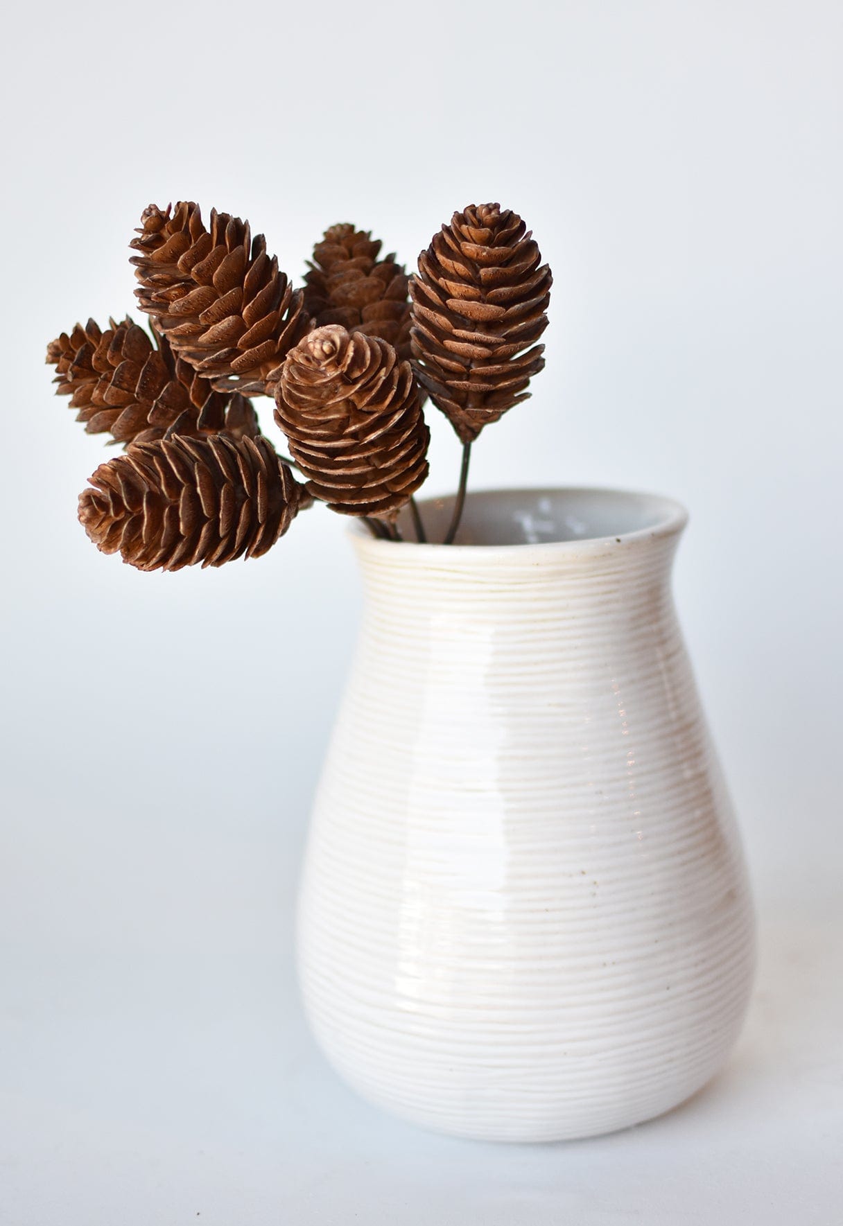 Faux Pinecone Stem Bundle - 10"