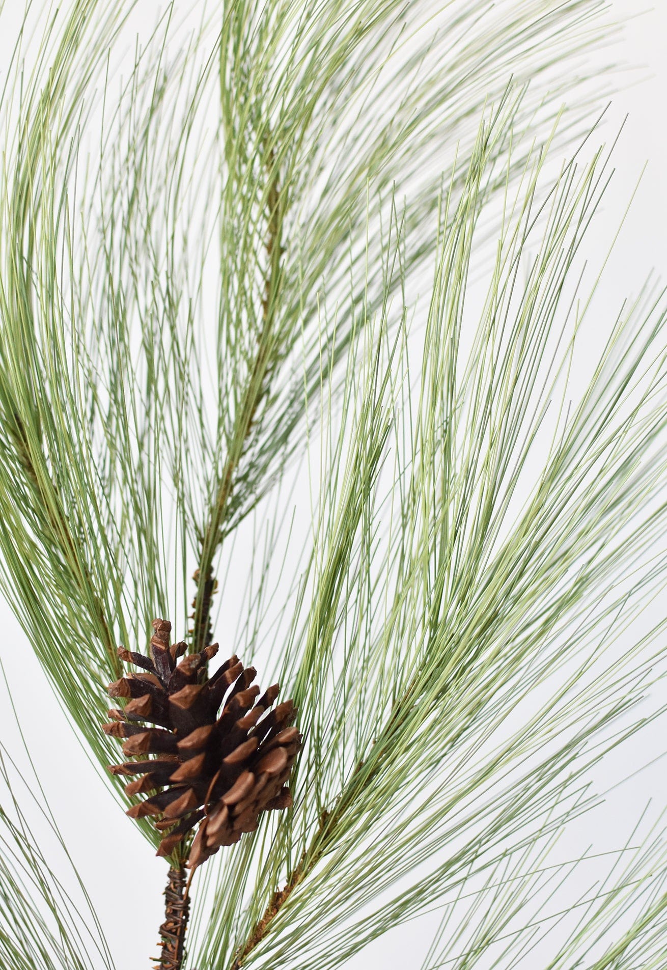 Long Needle Pine Spray - 21”