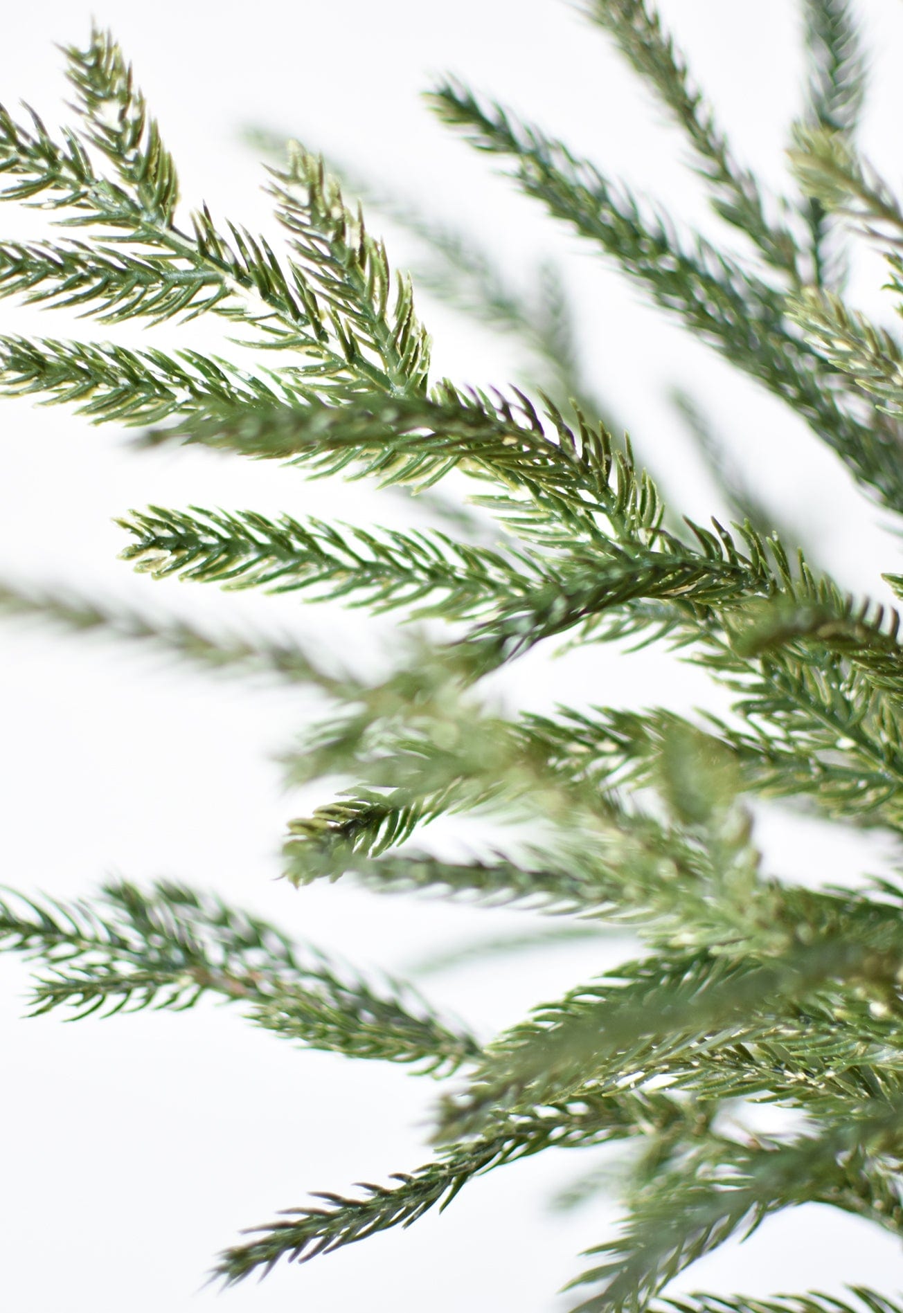 Faux Whitewash Green Norfolk Pine Spray Bush - 20"
