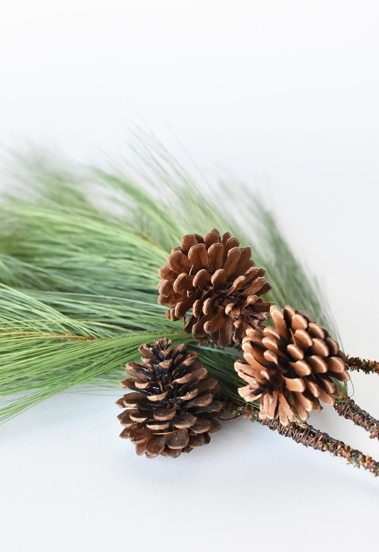 Long Needle Pine Spray - 21”