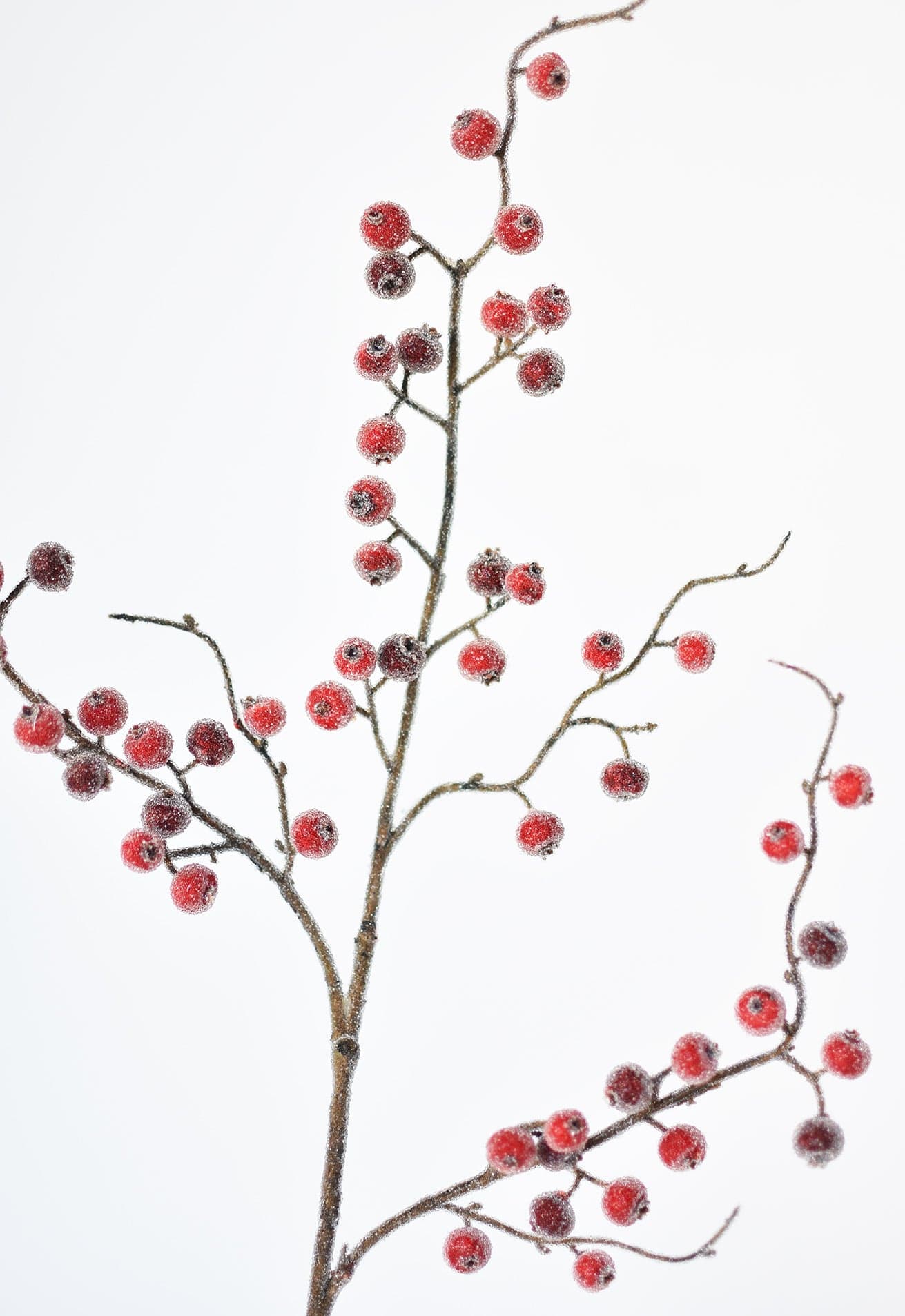 Faux Red Sugar Berry Spray Stem - 29"