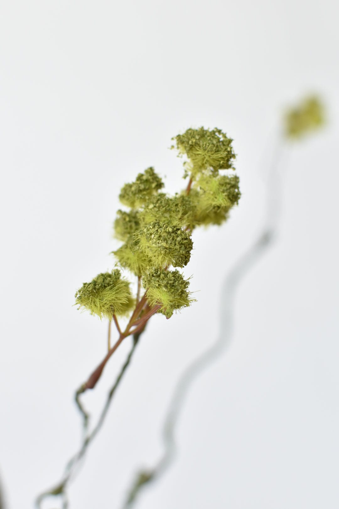 Faux Mini Fuzzy Blossom Branch - 30"
