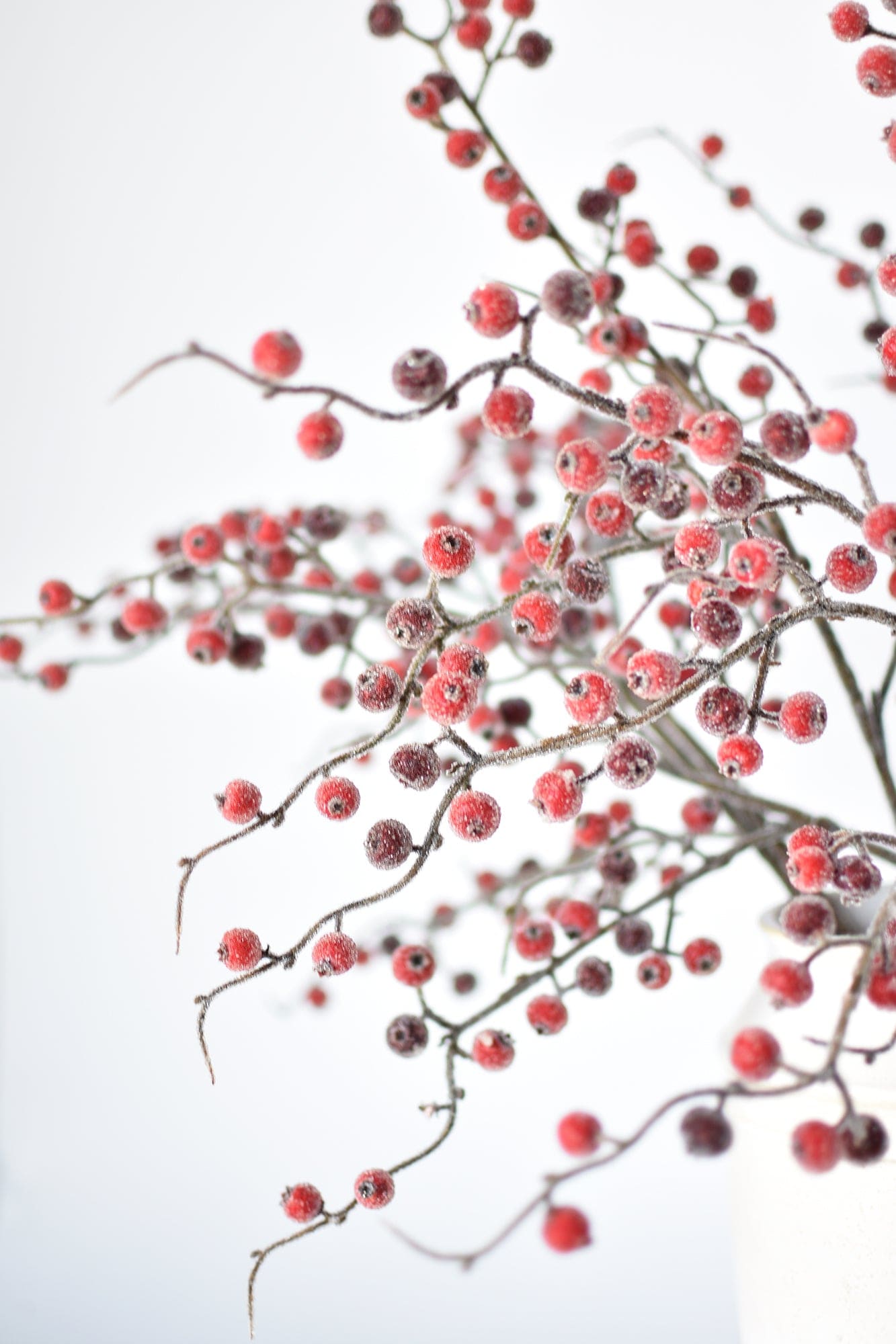 Faux Red Sugar Berry Spray Stem - 29"