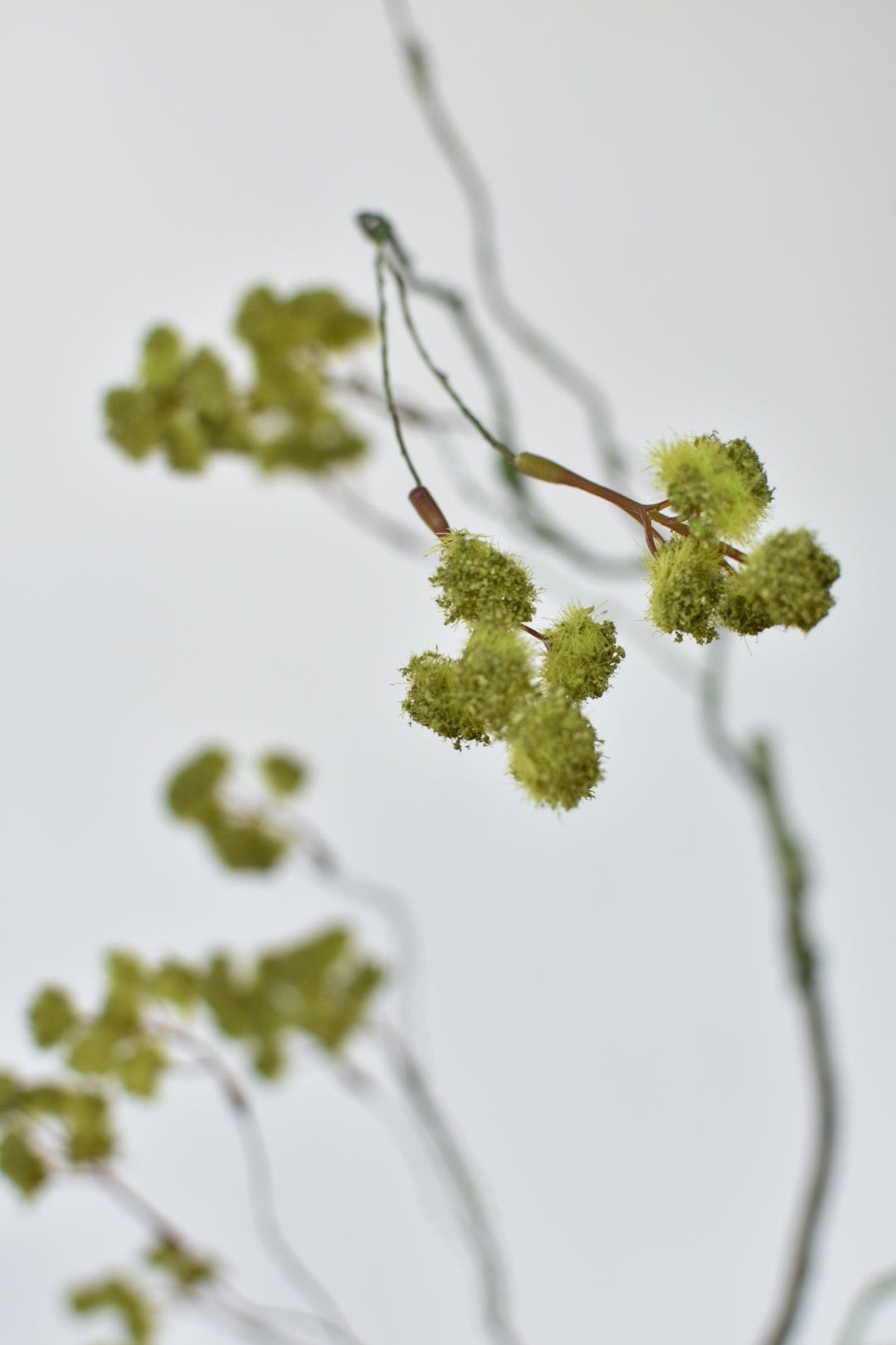 Faux Mini Fuzzy Blossom Branch - 30"