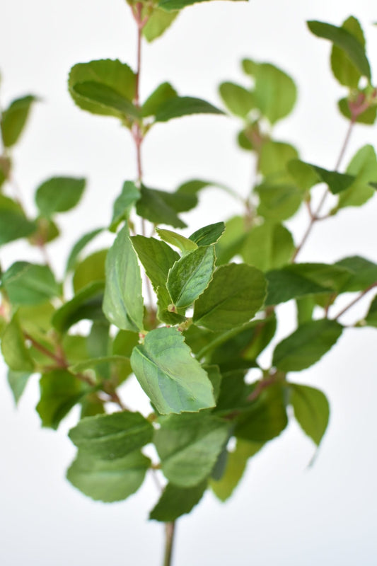 17" Faux Greenery Bush