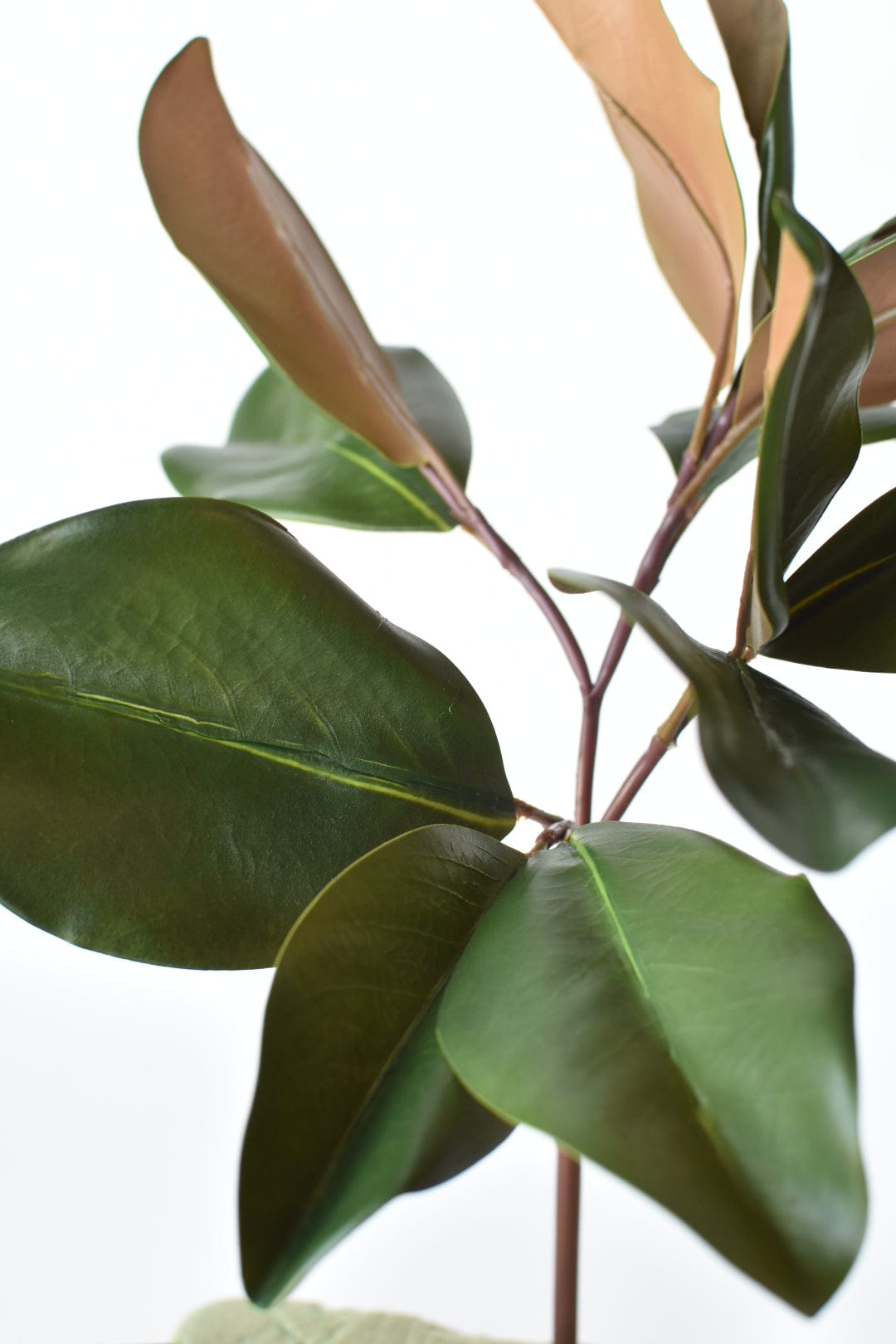 Faux Magnolia Leaf Stem - 16.5"