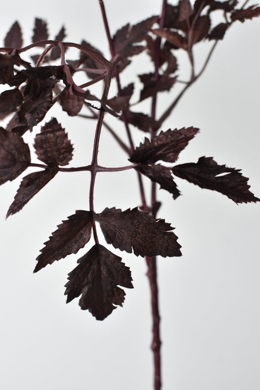 Faux Cimicifunga Ramosa Stem: Plum - 31"