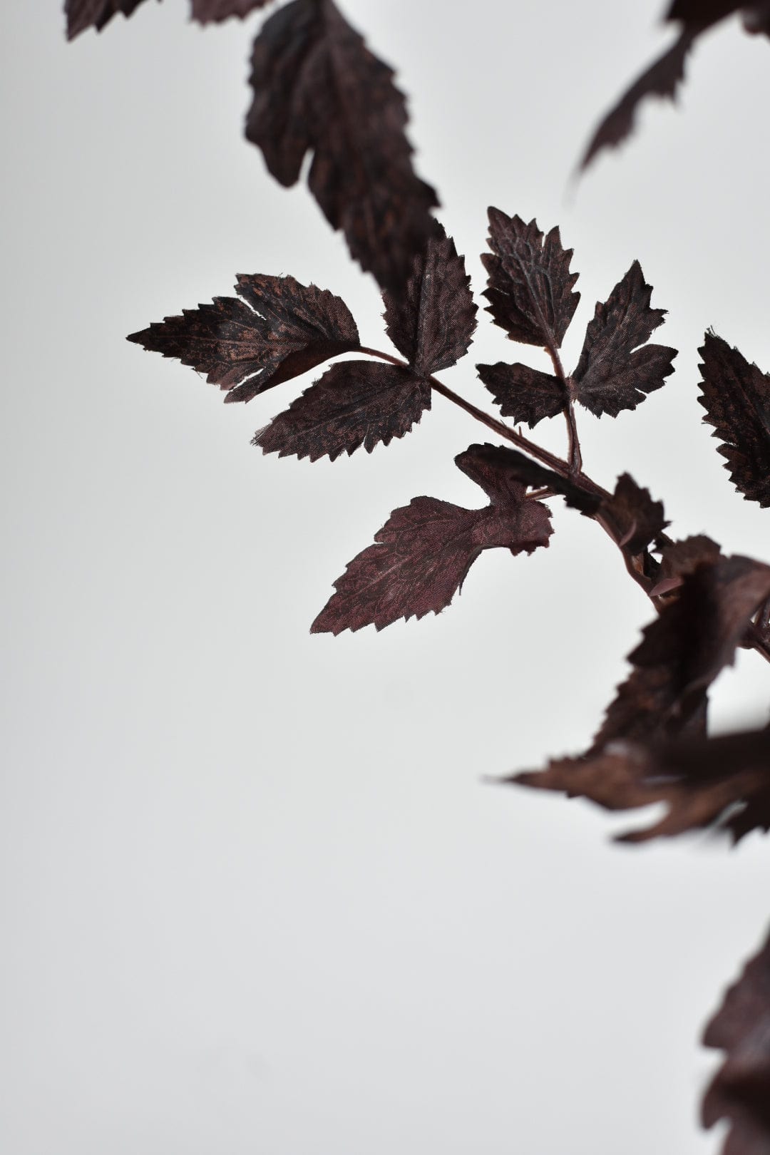 Faux Cimicifunga Ramosa Stem: Plum - 31"