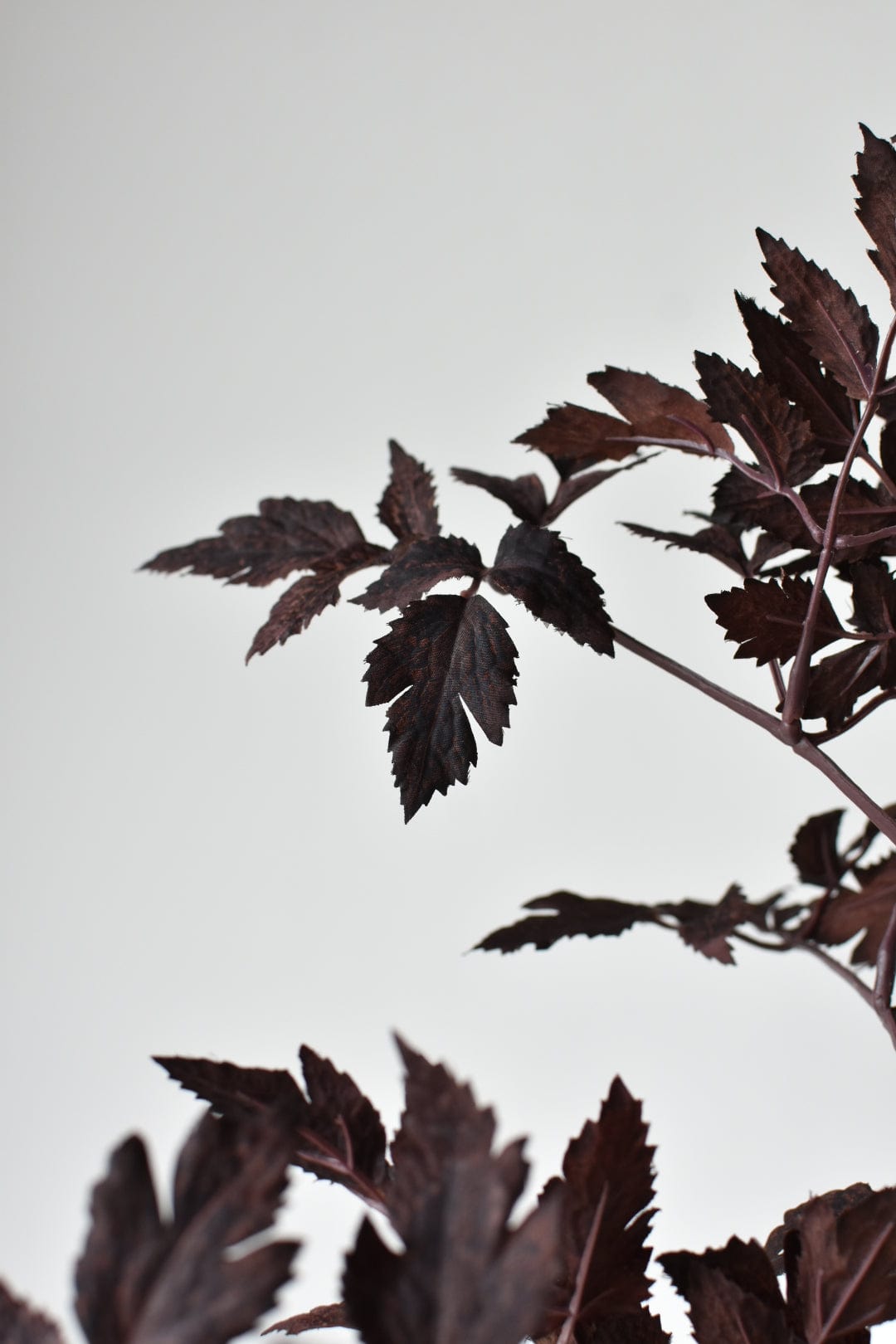 Faux Cimicifunga Ramosa Stem: Plum - 31"