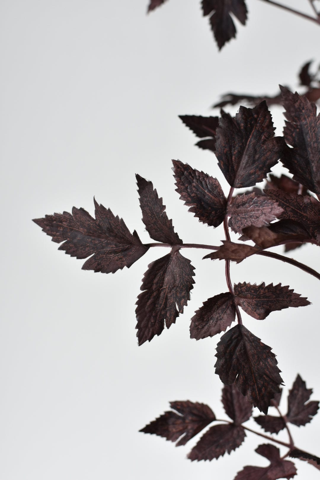 Faux Cimicifunga Ramosa Stem: Plum - 31"