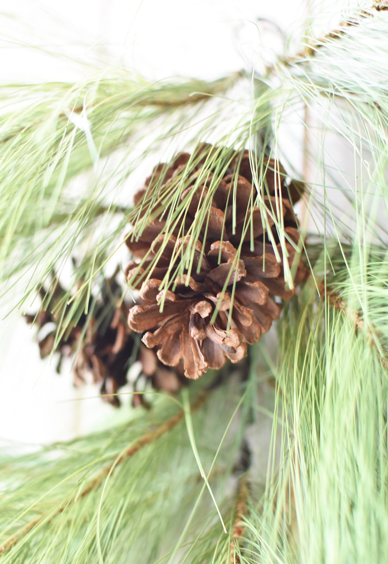 Faux Long Needle Pine Swag (without bow) - 40"