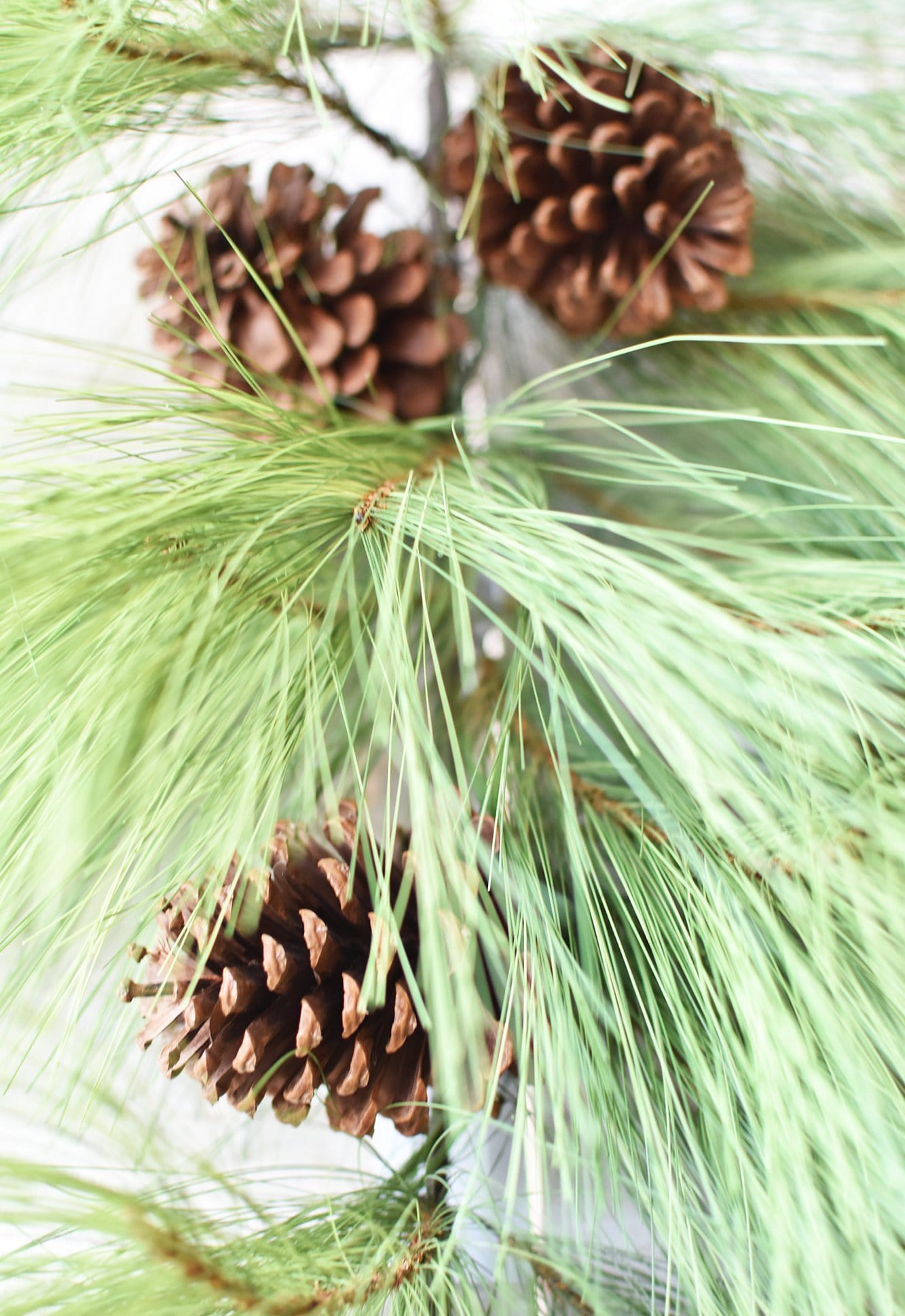 Faux Long Needle Pine Swag (without bow) - 40"