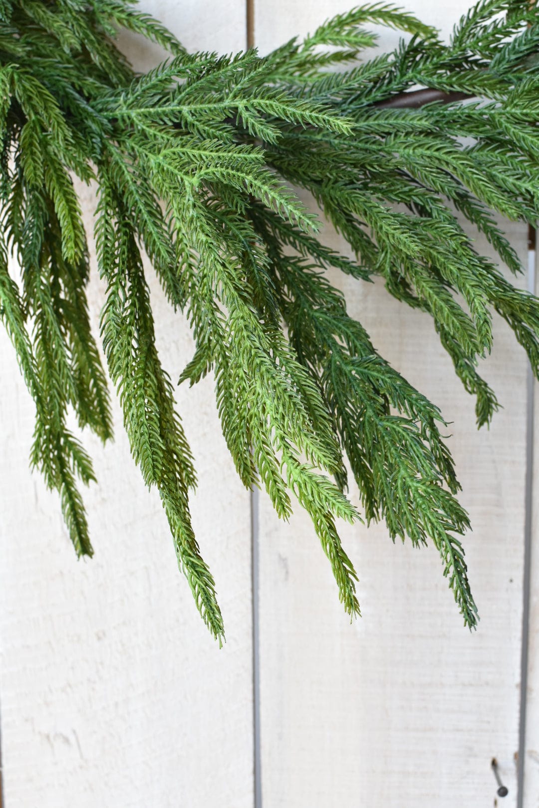 Real Touch Norfolk Pine Garland - 60"