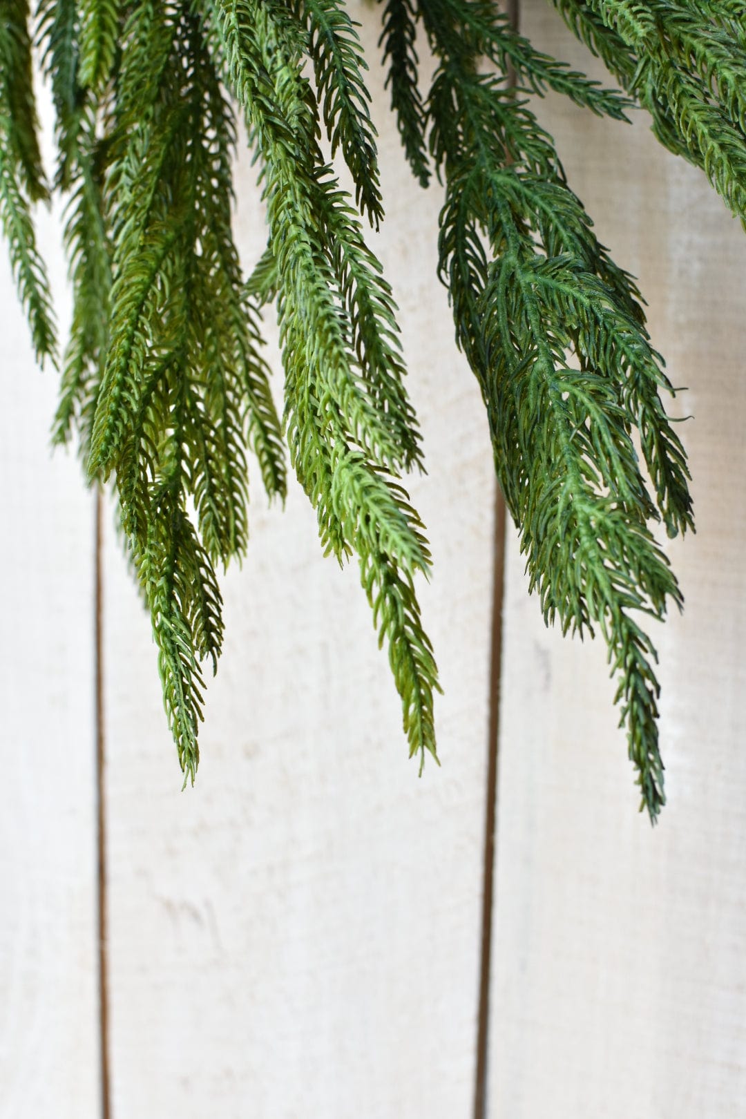 Real Touch Norfolk Pine Garland - 60"