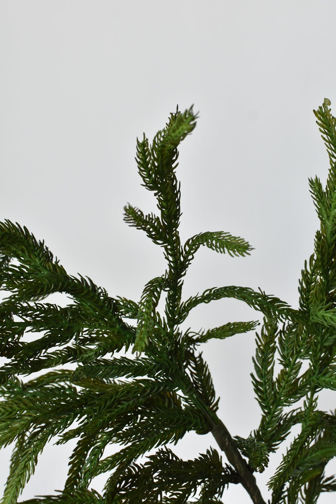RealTouch Norfolk Pine Spray Stem - 36"