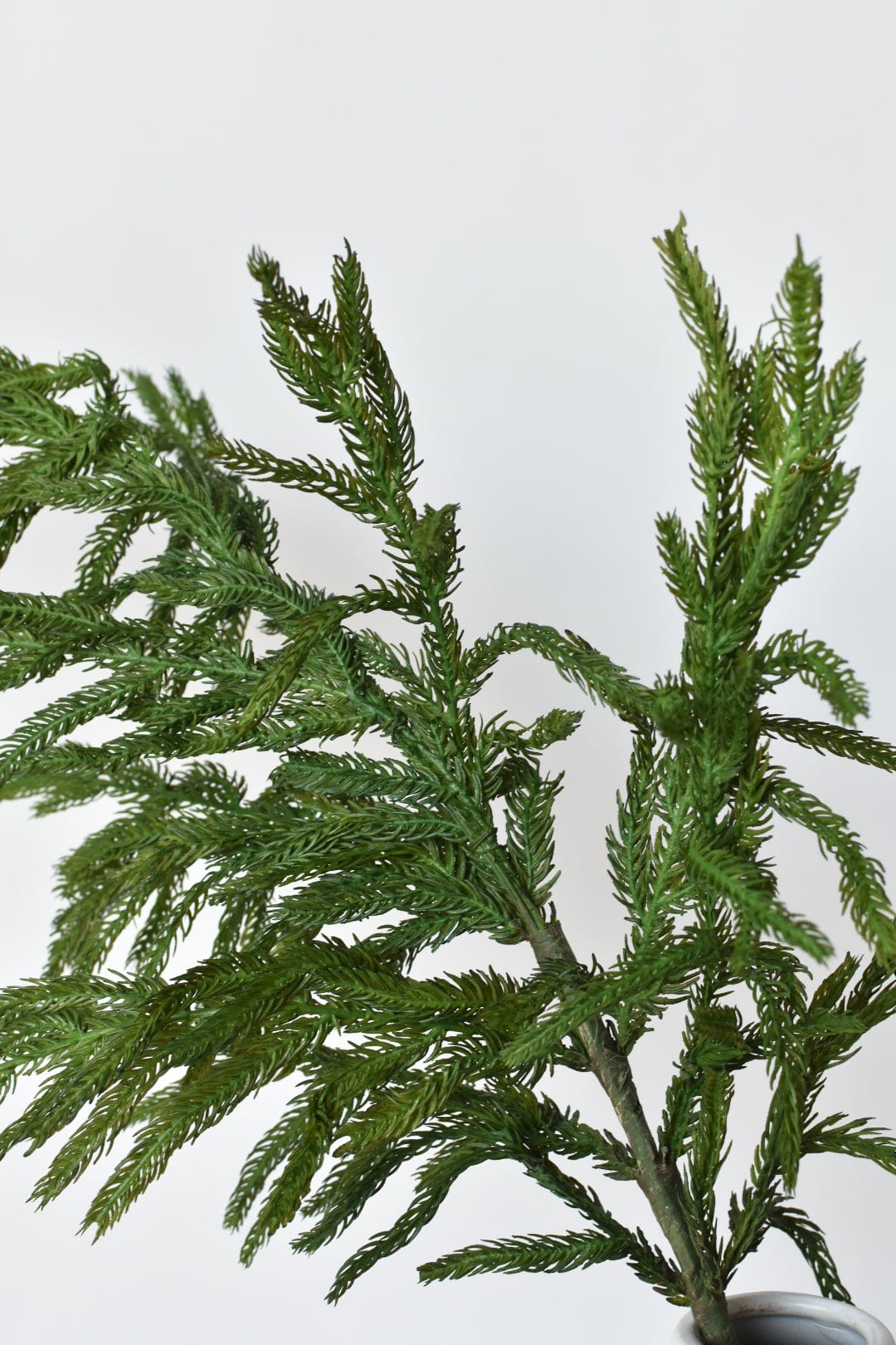 RealTouch Norfolk Pine Spray Stem - 36"