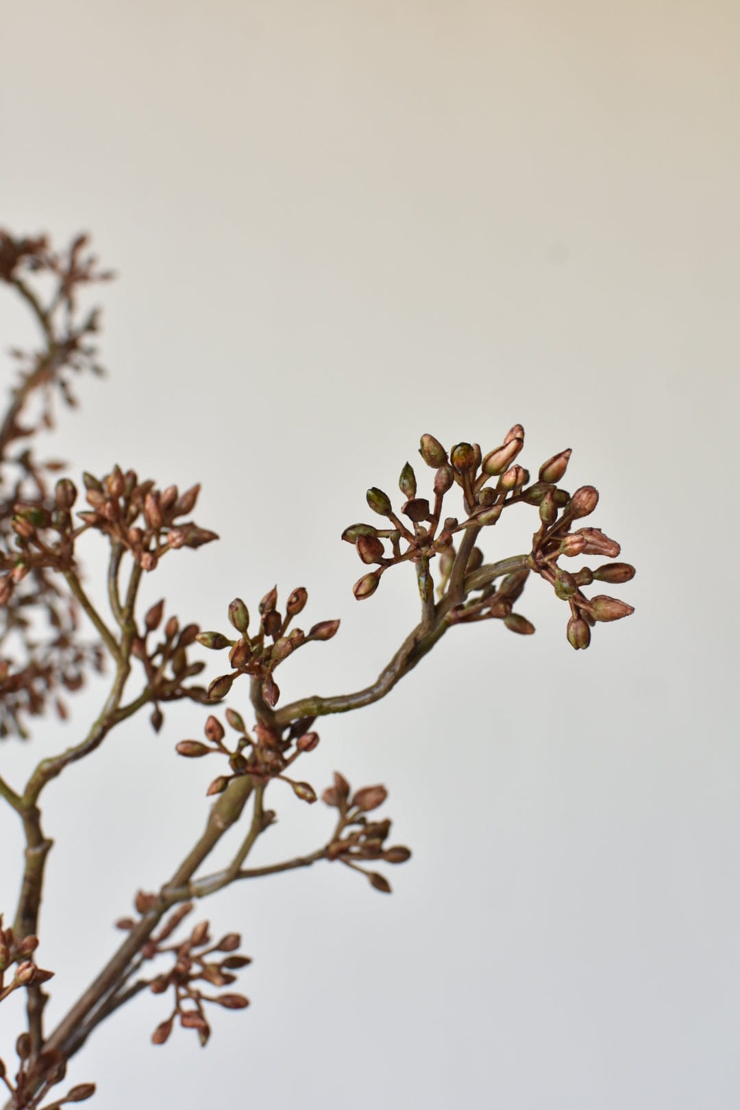 Faux Brown Sedum Berry Branch - 38"