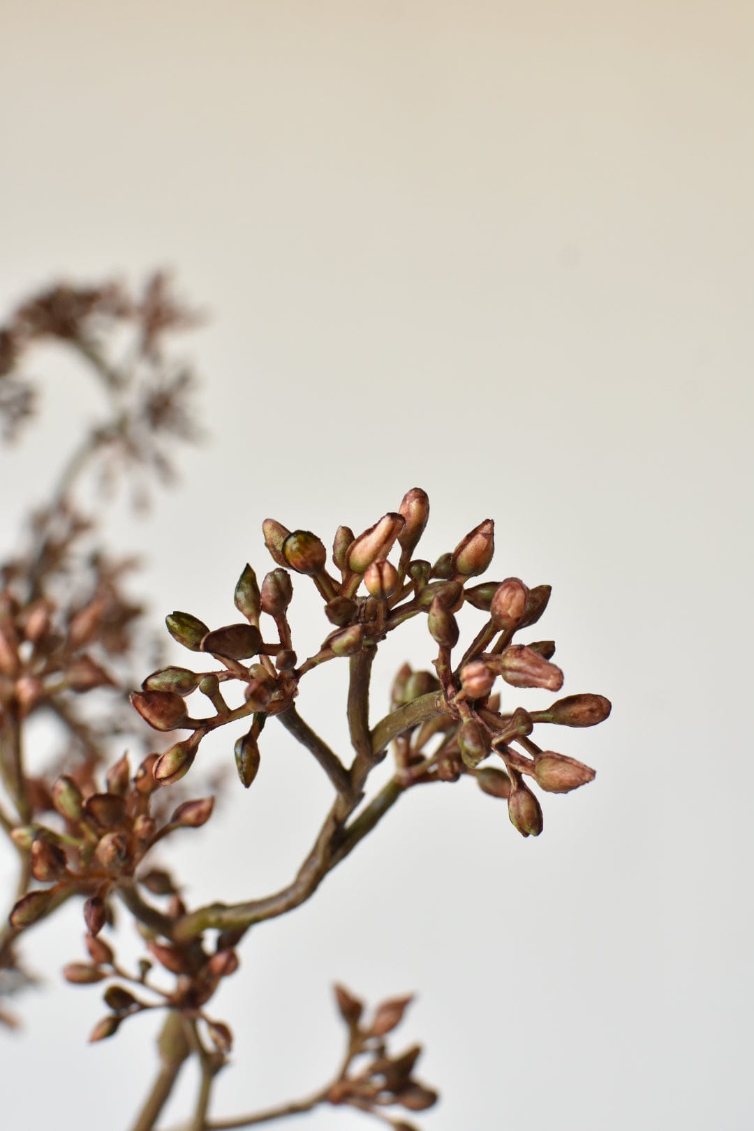 Faux Brown Sedum Berry Branch - 38"