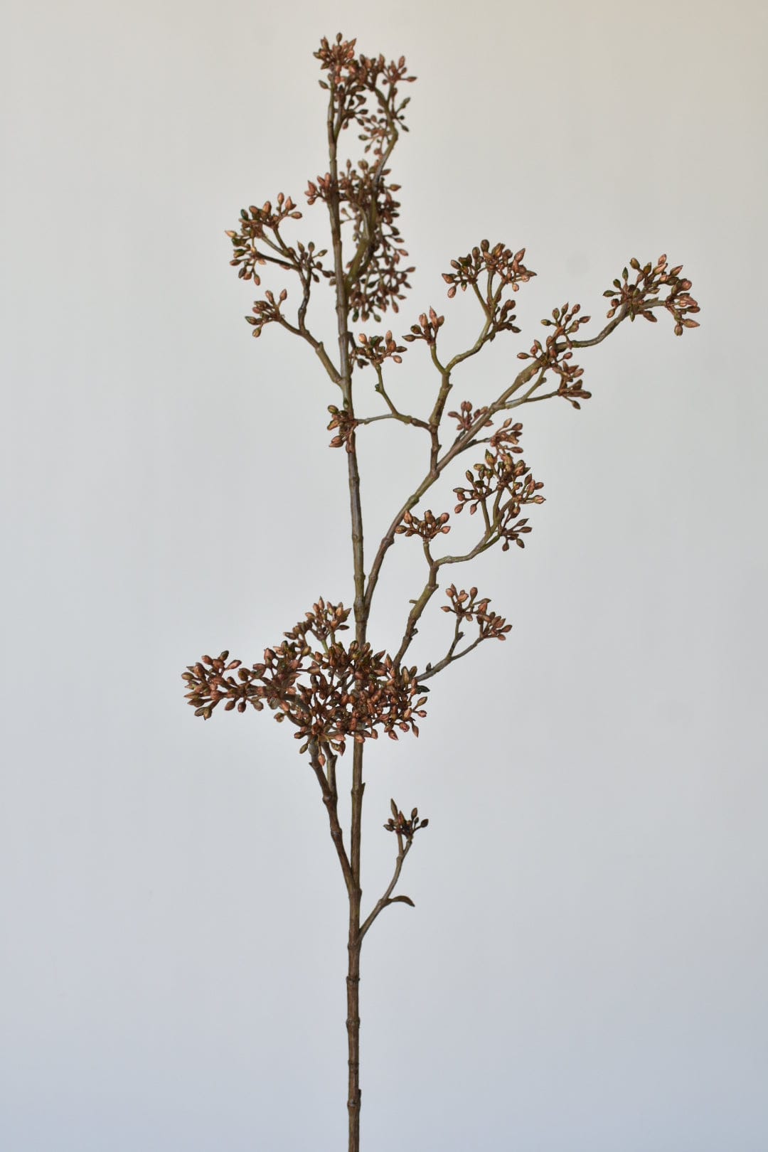 Faux Brown Sedum Berry Branch - 38"