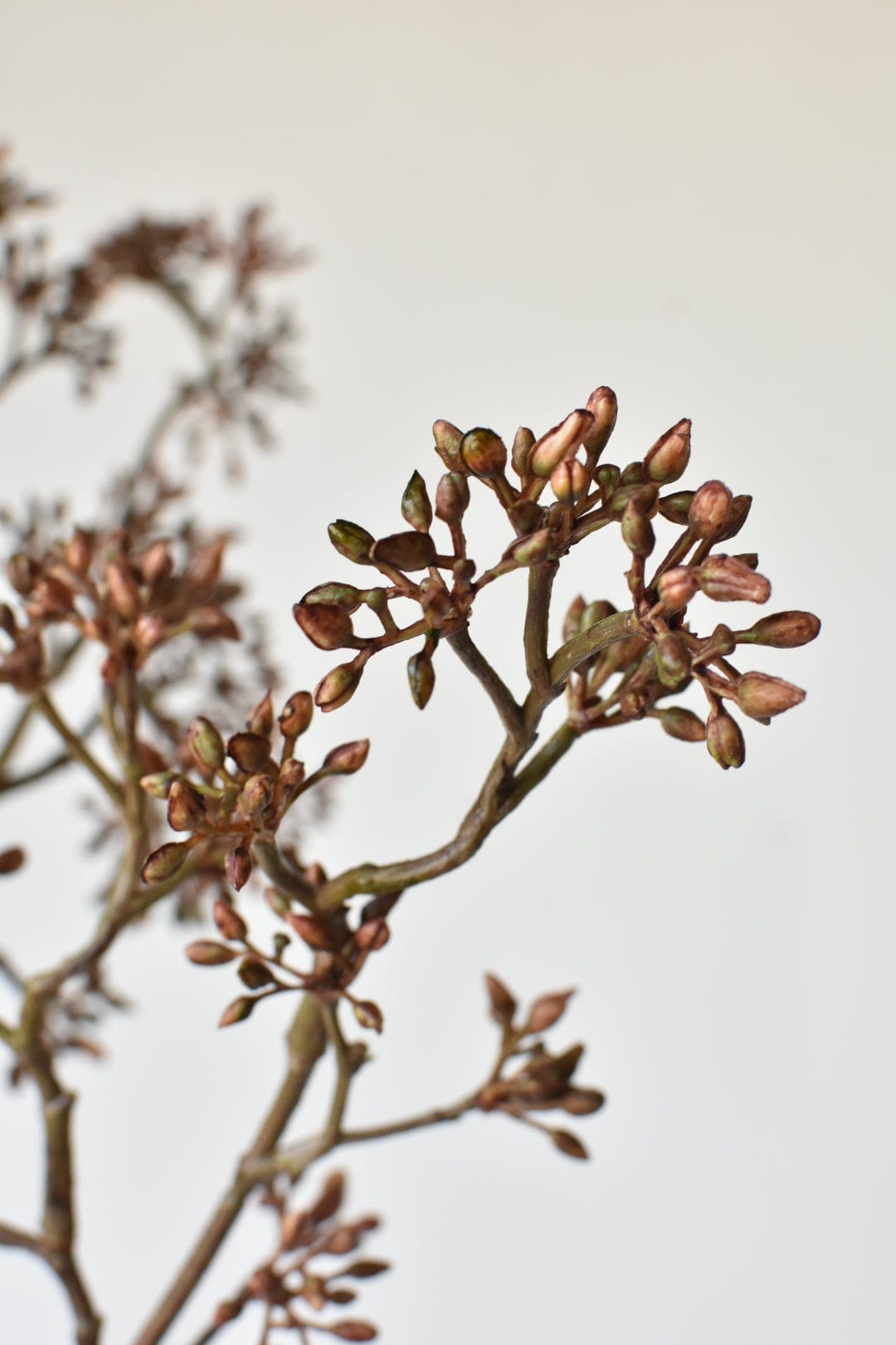 Faux Brown Sedum Berry Branch - 38"