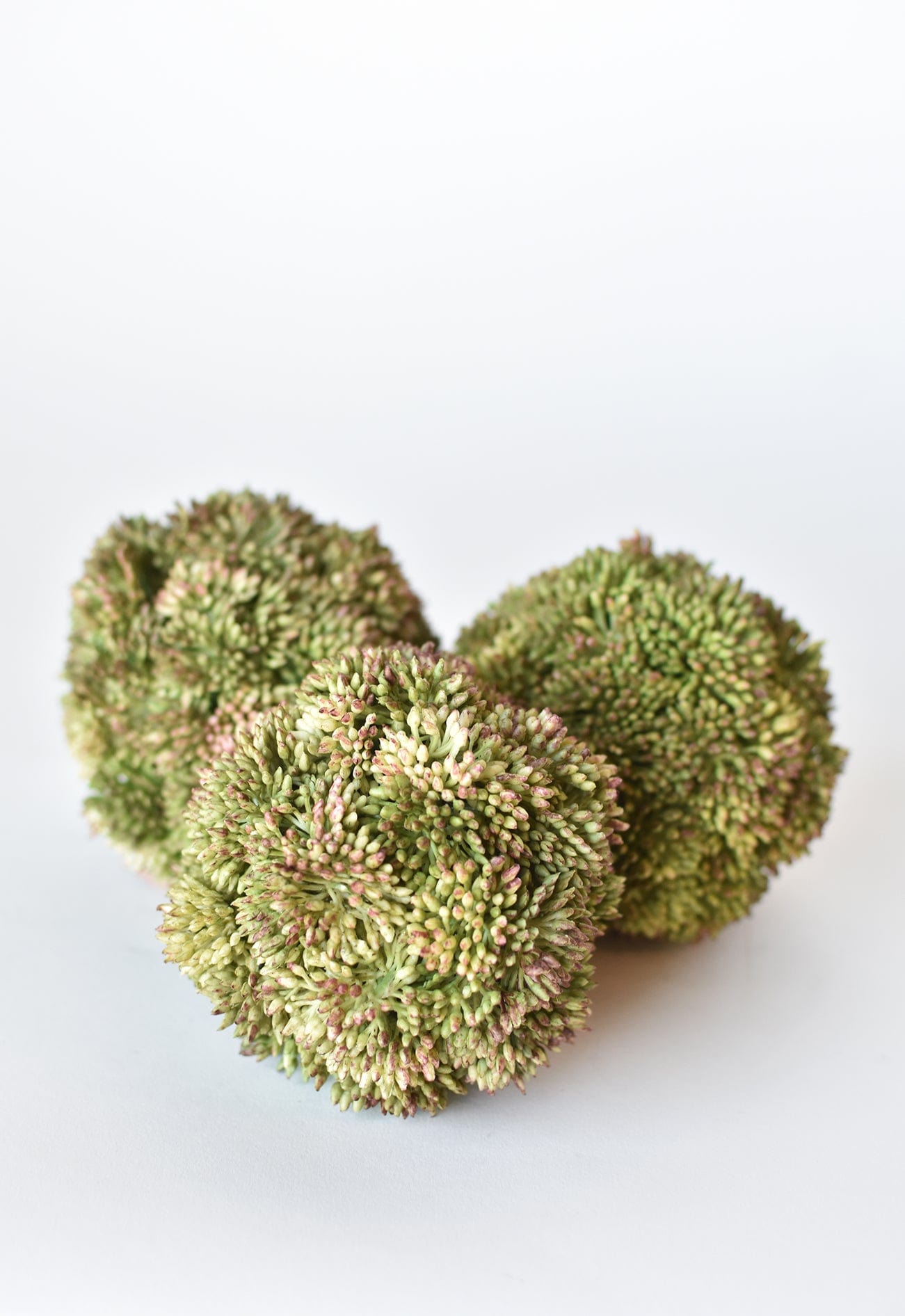 Faux Green Sedum Ball - 4"