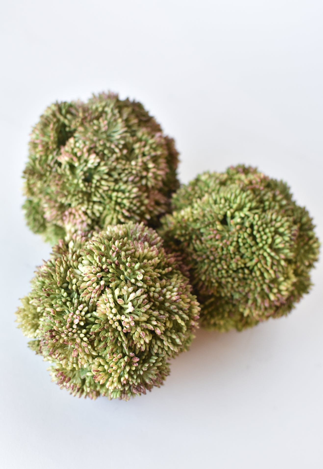 Faux Green Sedum Ball - 4"