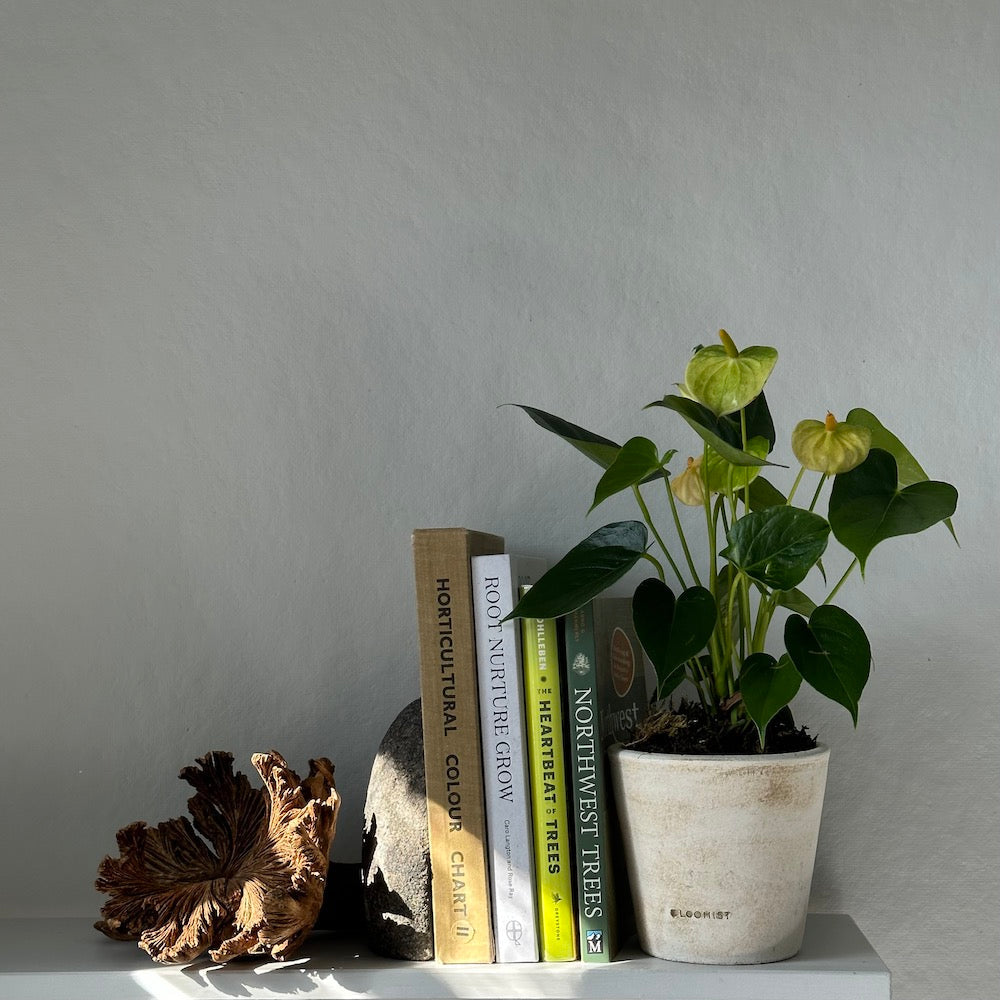 "Quarrylock" Achitectural Bookends, pair
