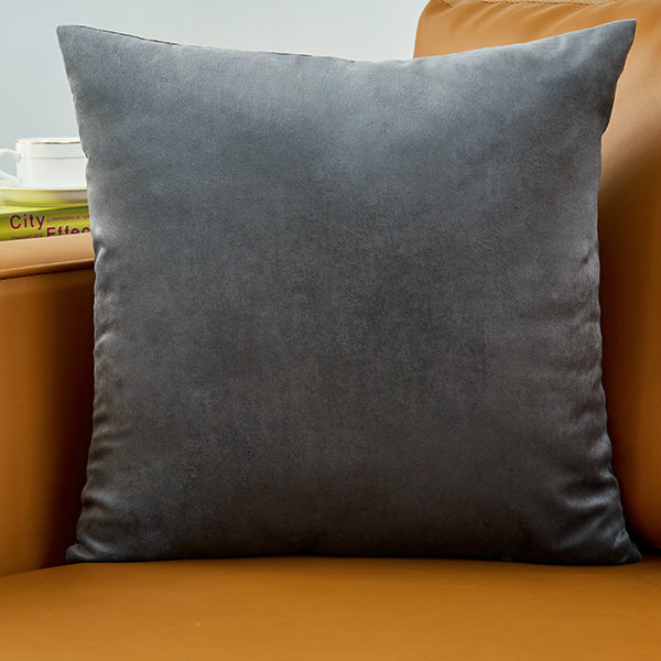 Plush Velvet Throw Pillow - 20x20 (with insert)