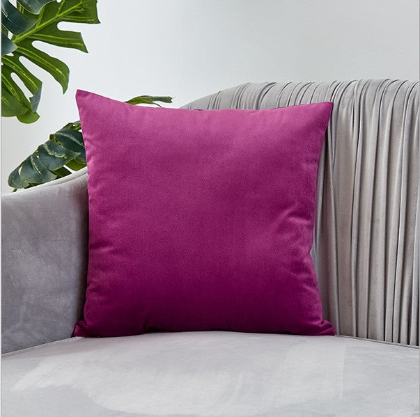 Plush Velvet Throw Pillow - 20x20 (with insert)
