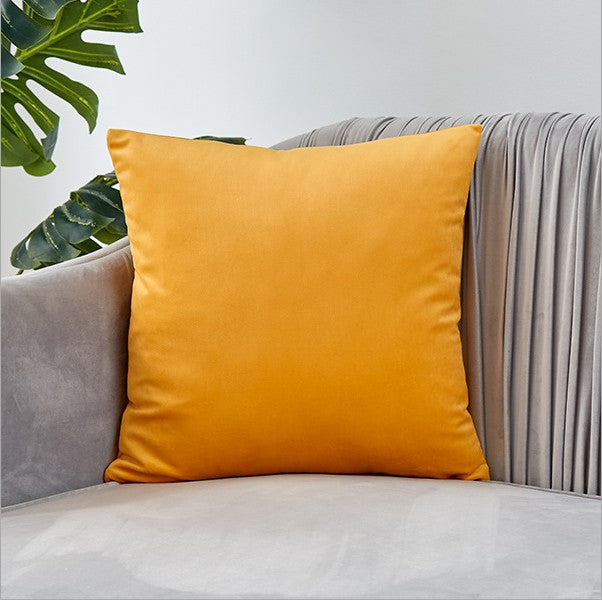 Plush Velvet Throw Pillow - 20x20 (with insert)