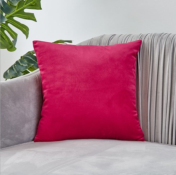 Plush Velvet Throw Pillow - 20x20 (with insert)