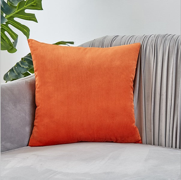 Plush Velvet Throw Pillow - 20x20 (with insert)