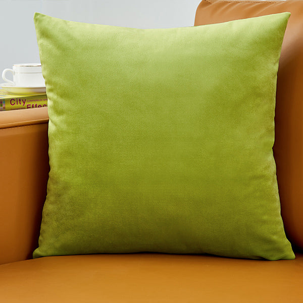 Plush Velvet Throw Pillow - 20x20 (with insert)