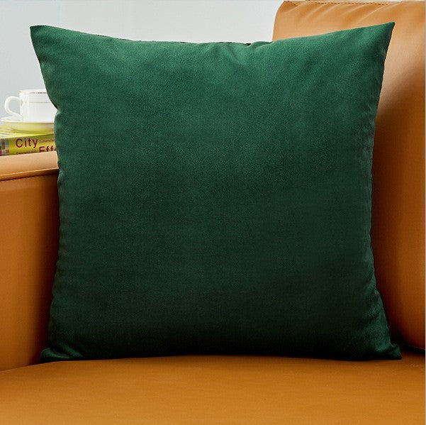 Plush Velvet Throw Pillow - 20x20 (with insert)
