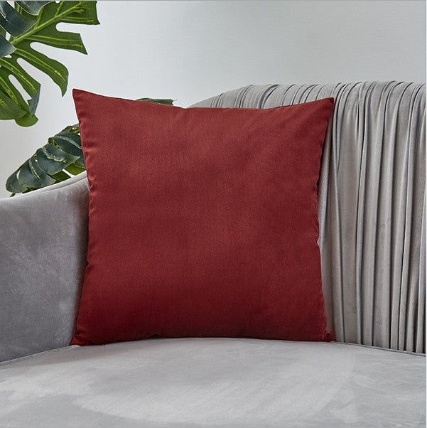 Plush Velvet Throw Pillow - 20x20 (with insert)