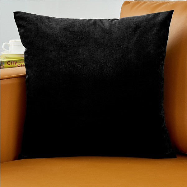 Plush Velvet Throw Pillow - 20x20 (with insert)