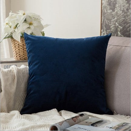Plush Velvet Throw Pillow - 20x20 (with insert)