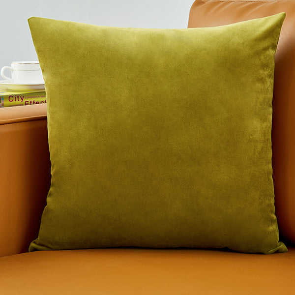 Plush Velvet Throw Pillow - 20x20 (with insert)