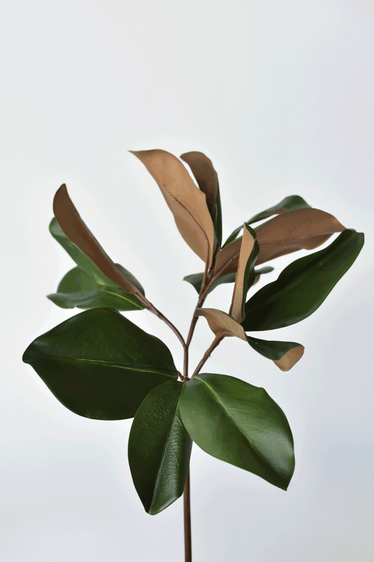Faux Magnolia Leaf Stem - 16.5"