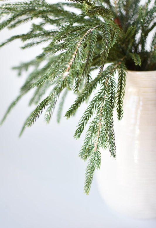 Faux Whitewash Green Norfolk Pine Spray Bush - 20"