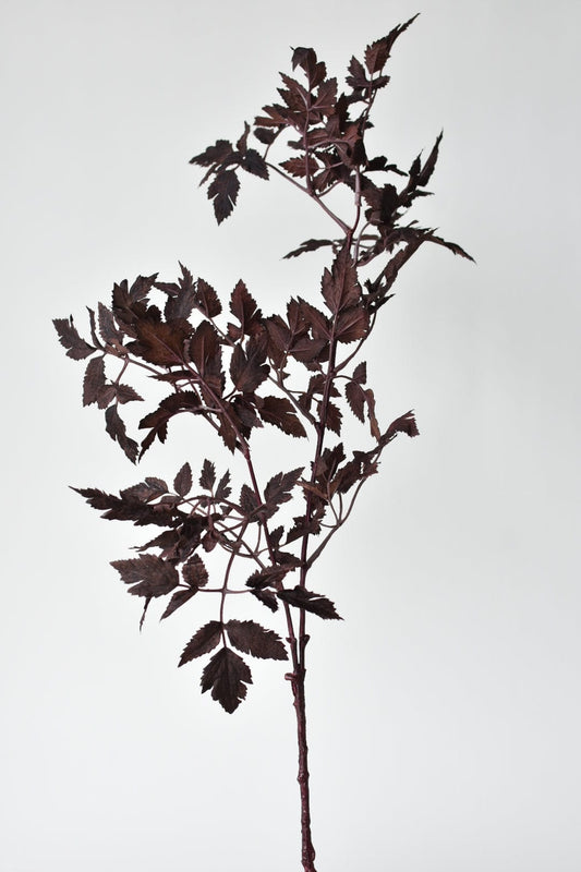 Faux Cimicifunga Ramosa Stem: Plum - 31"