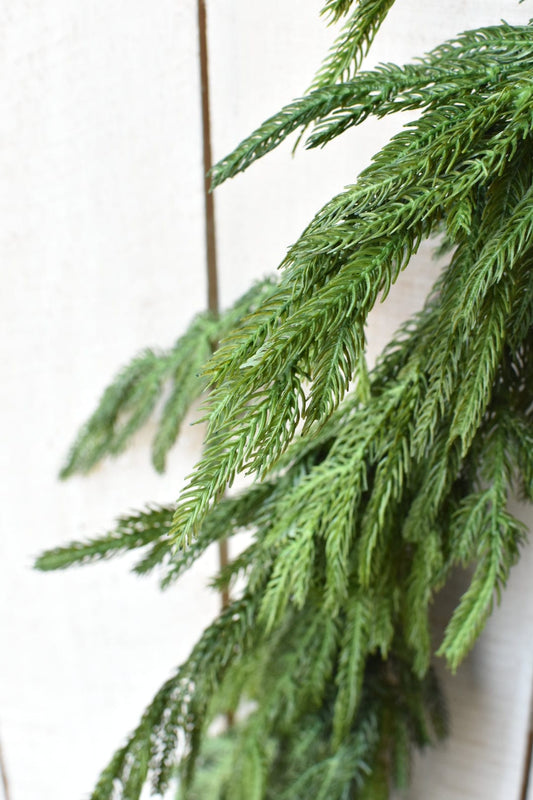 Real Touch Norfolk Pine Garland - 60"
