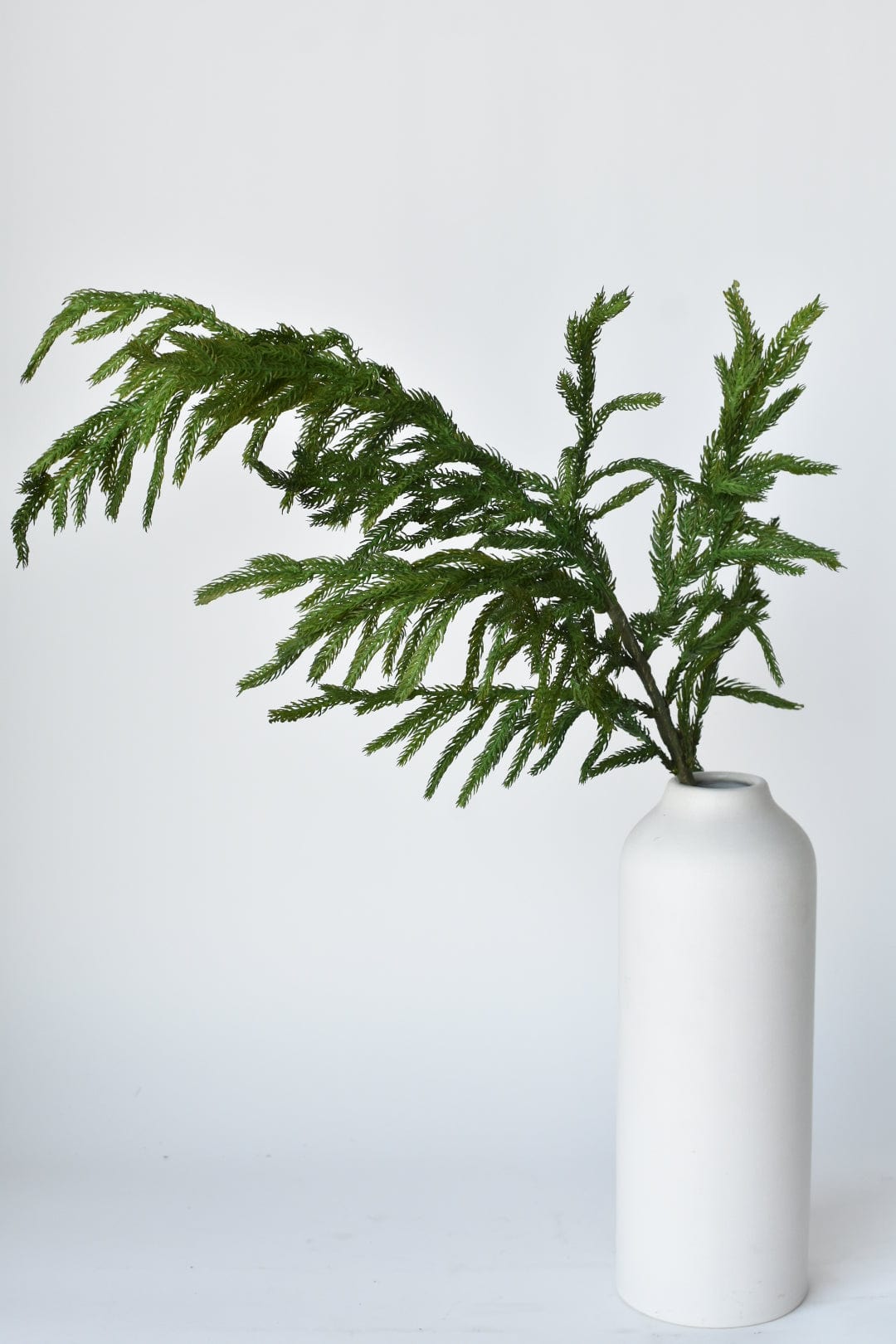 RealTouch Norfolk Pine Spray Stem - 36"
