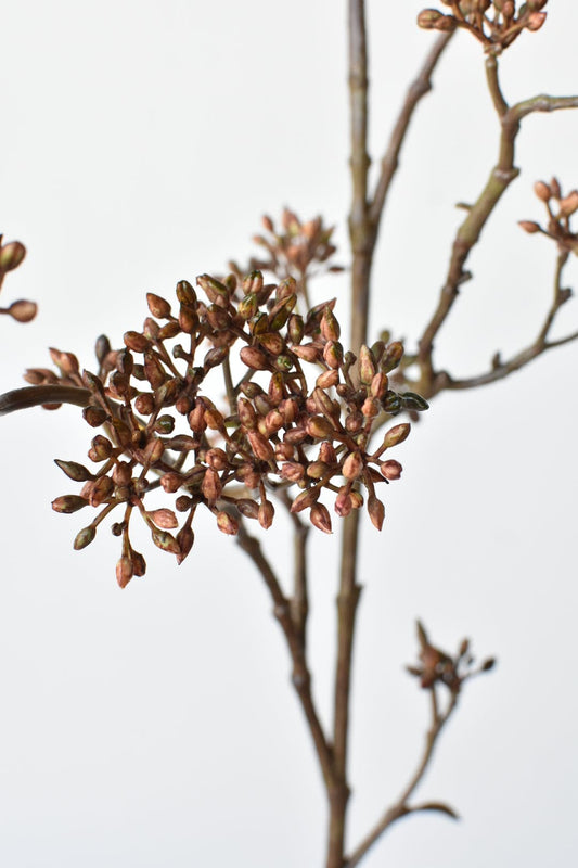 Faux Brown Sedum Berry Branch - 38"
