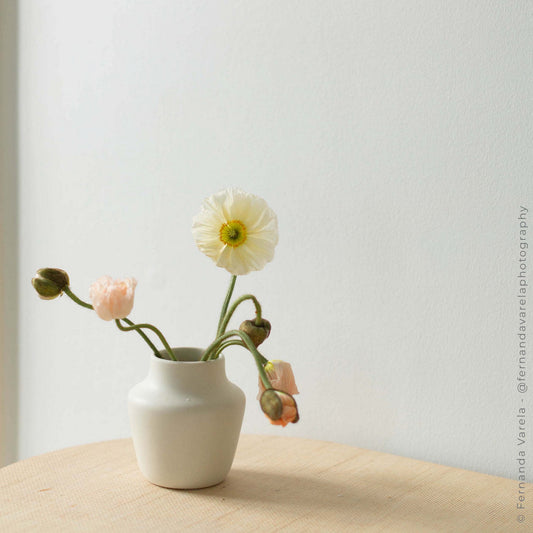 Ikebana Vase Collection